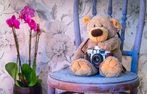teddy-bear-1710641__340